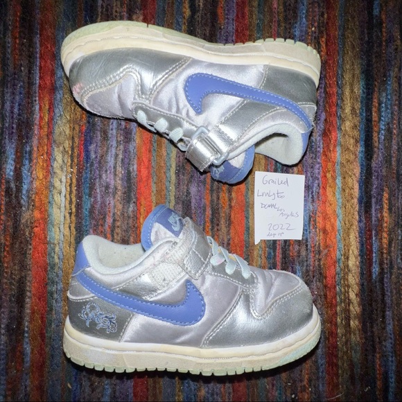 311533-042 Size 8C 2006 Release Nike Dunk Low